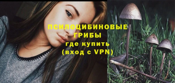 меф Армянск