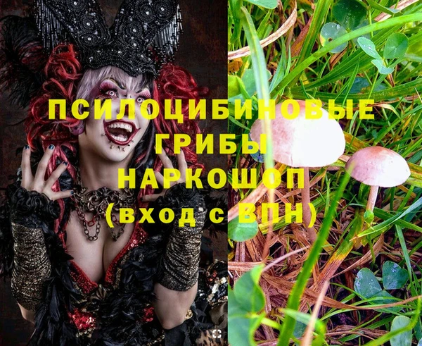 а пвп мука Аркадак
