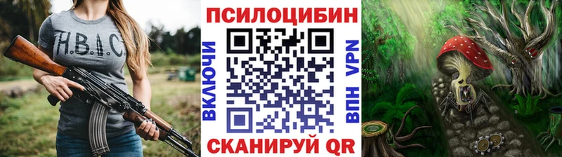 Псилоцибиновые грибы Cubensis  хочу   Баймак 